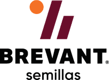 Logo de Brevant Semillas